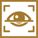 Iris Recognition
