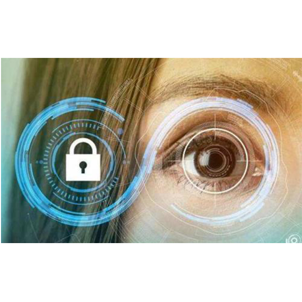 Iris Recognition