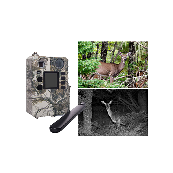 Hunting camera